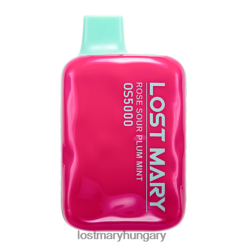 elveszett Mary os5000 rózsa savanyú szilva menta 82D8JT98 -LOST MARY Online Shop