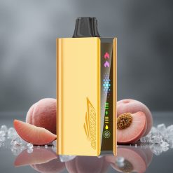JNR Cruiser 12000 Puffs Egyszerhasználatos Vape Őszibarack Jég