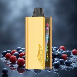 JNR Cruiser 12000 Puffs Töltetlen Eldobható Vape Áfonya Robbanás