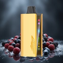 JNR Cruiser 12000 Puffs Töltetlen Eldobható Vape Feketeáfonya Jég