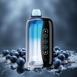 JNR Flex Ice 21000 Puffs Egyszerhasználatos Vape Áfonya Jég