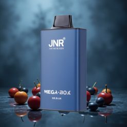 JNR Mega Box 25000 Puffs Egyszerhasználatos E-vapor Kék