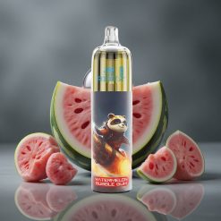 JNR Rocket-X 12400 Puffs Egyszerhasználatos Vape Típus-C Gyorstöltés Görögdinnye Rágógumi