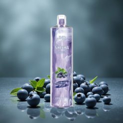 JNR Shisha Hookah 12000 Puffs Egyszerhasználatos Vape Áfonya Menta 24ml