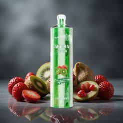 JNR Shisha Hookah 12000 Puffs Eper-Kivi 24ml
