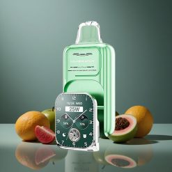 JNR VapeWatch 30000 Puffs Dual Mesh Coil Miami Borsmenta