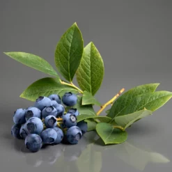 Vadáfonya – DIY Flavor Concentrate – Propilén-glikol