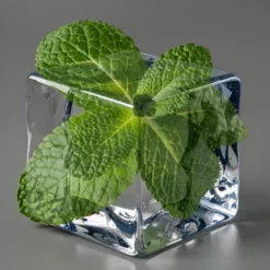 Mentol – DIY Ízkoncentrátum Borsmenta, Zöldmenta, Télizöld