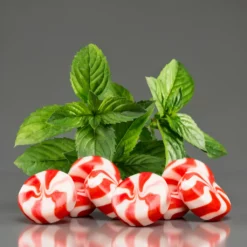 Freshen Up – Mentacukorka DIY Flavor Concentrate